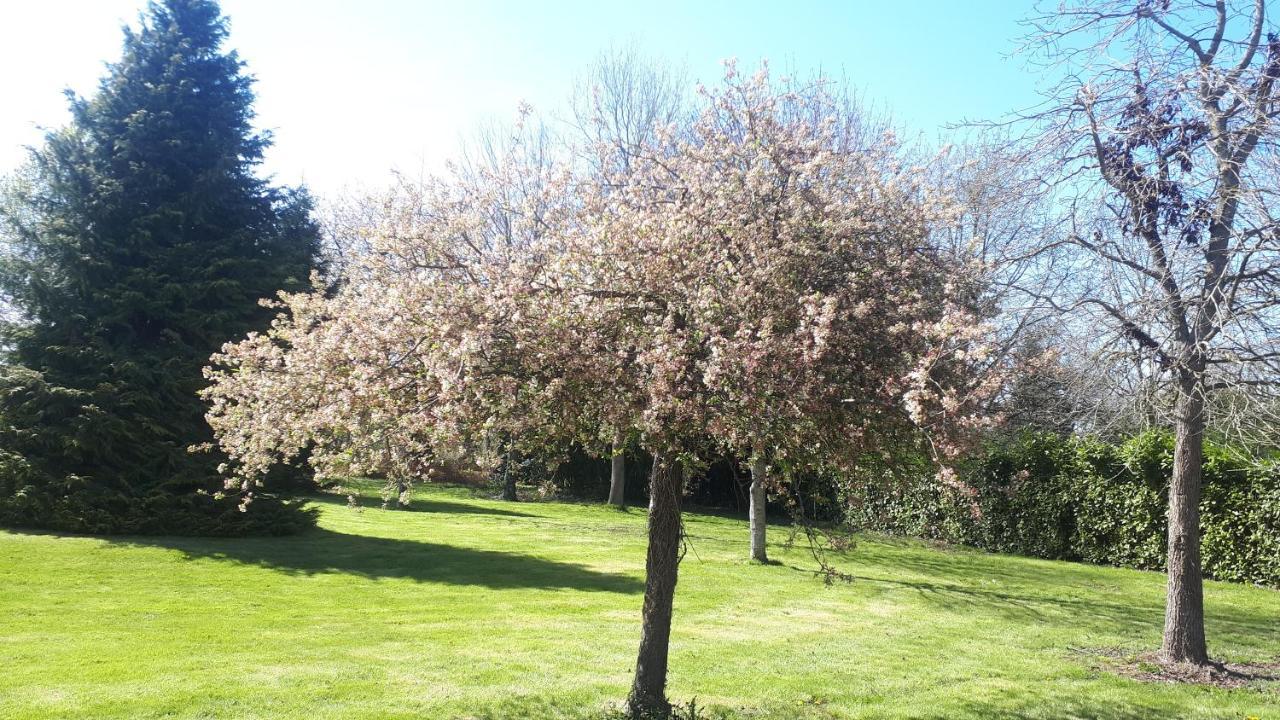 Gite De Bon Air Sens-de-Bretagne 외부 사진